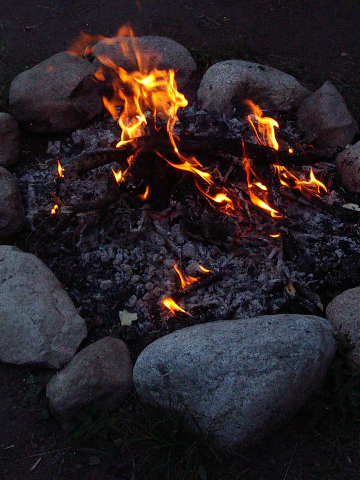 Module 2 The Fire of Transformation ZenSpot